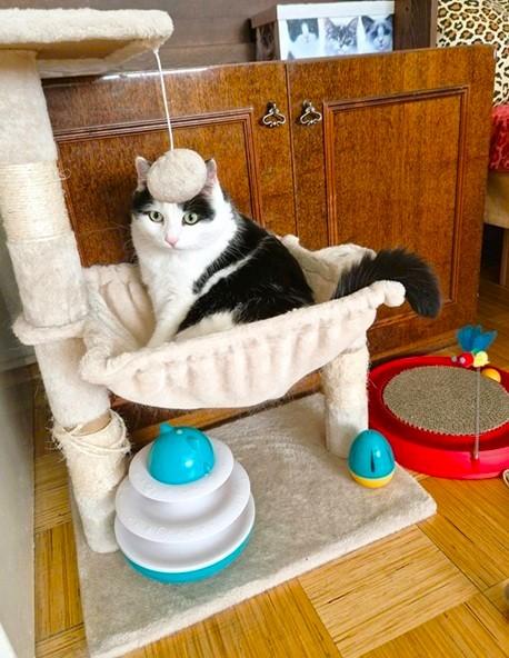 Eha2013 uploaded   294  day/s  ago