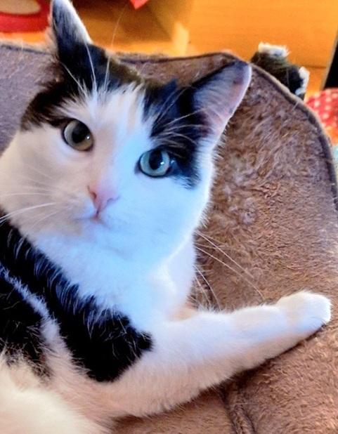 Eha2013 uploaded   28  day/s  ago