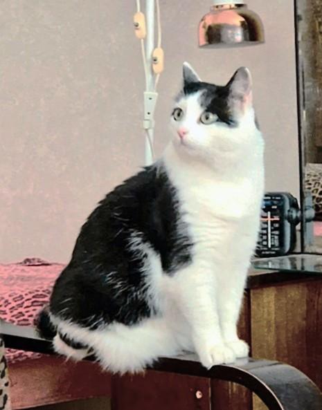 Eha2013 uploaded   78  day/s  ago