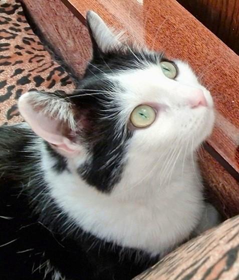 Eha2013 uploaded   76  day/s  ago