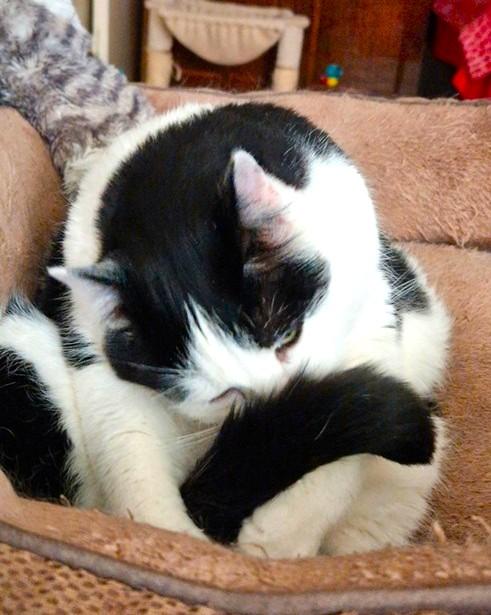 Eha2013 uploaded   24  day/s  ago