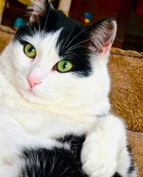 Eha2013 uploaded   24  day/s  ago