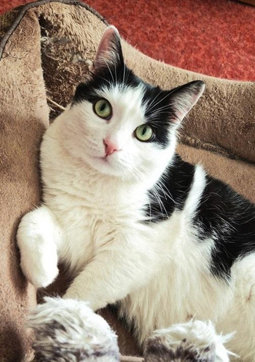 Eha2013 uploaded   23 hour/s ago