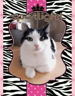 Eha2013 uploaded   59  day/s  ago