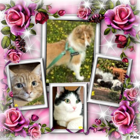 Eha2013 uploaded   76  day/s  ago