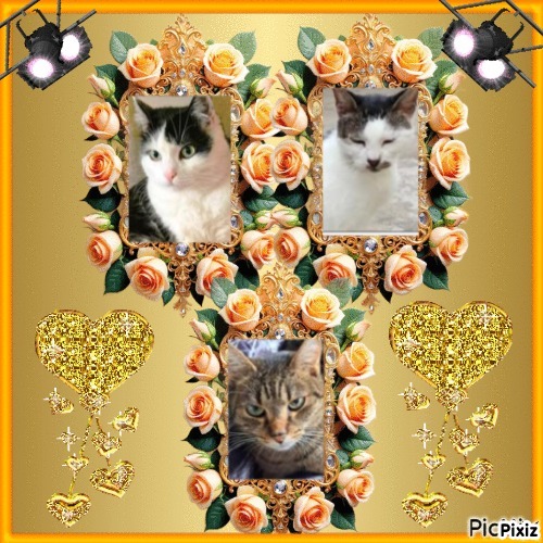 Eha2013 uploaded   76  day/s  ago