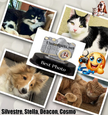 Eha2013 uploaded   76  day/s  ago