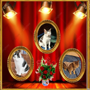 Eha2013 uploaded   76  day/s  ago