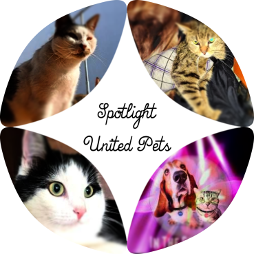 Stella of the Eha2013 family