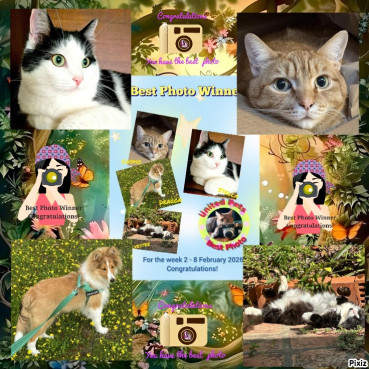 Eha2013 uploaded   76  day/s  ago