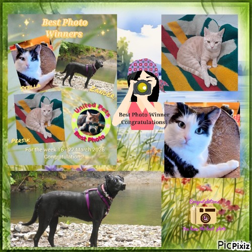 Eha2013 uploaded   21  day/s  ago