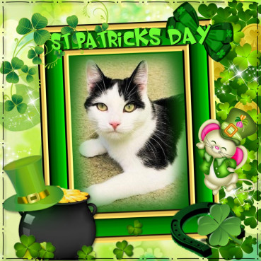 Eha2013 uploaded   32  day/s  ago