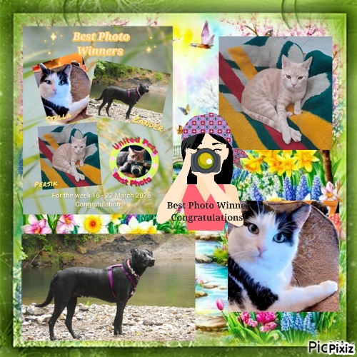 Eha2013 uploaded   21  day/s  ago