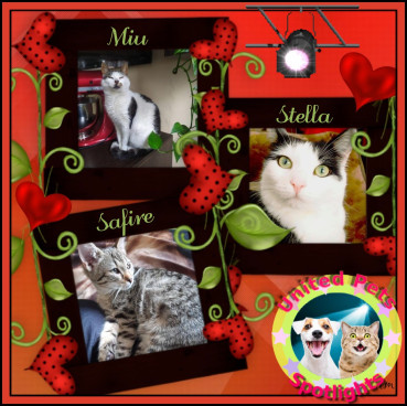 Eha2013 uploaded   74  day/s  ago