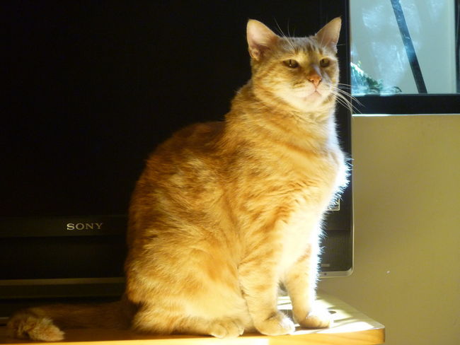 ElianaCT uploaded   9 year/s ago