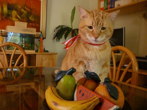 ElianaCT uploaded   9 year/s ago