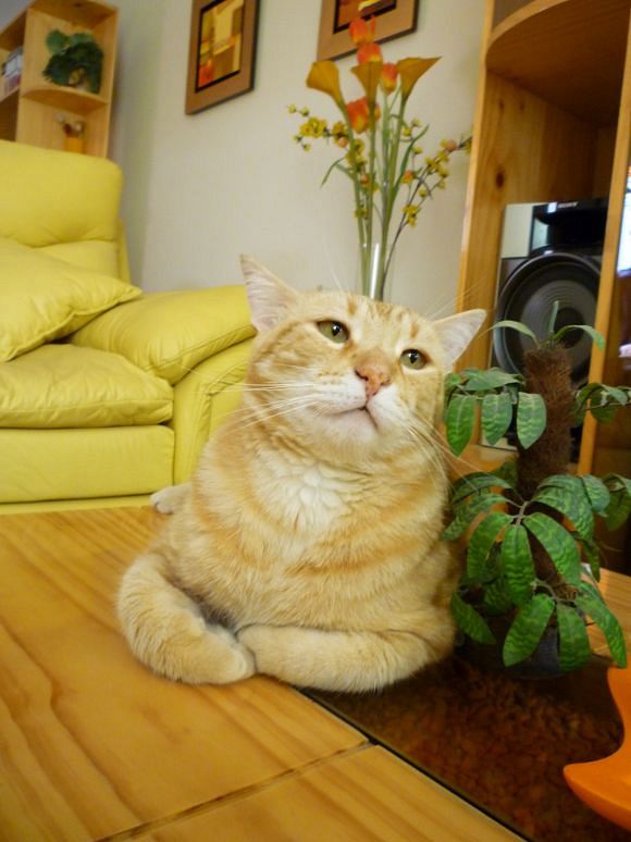 ElianaCT uploaded   9 year/s ago