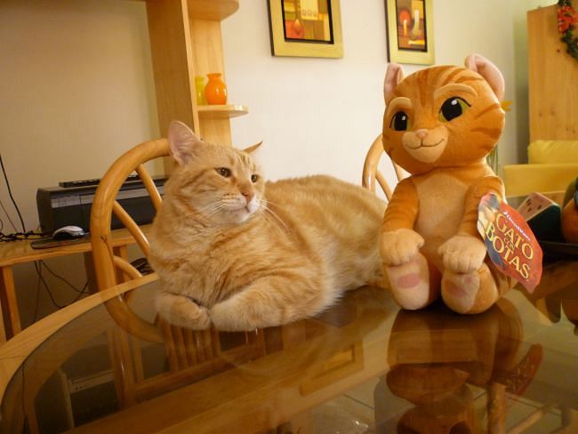 ElianaCT uploaded   9 year/s ago