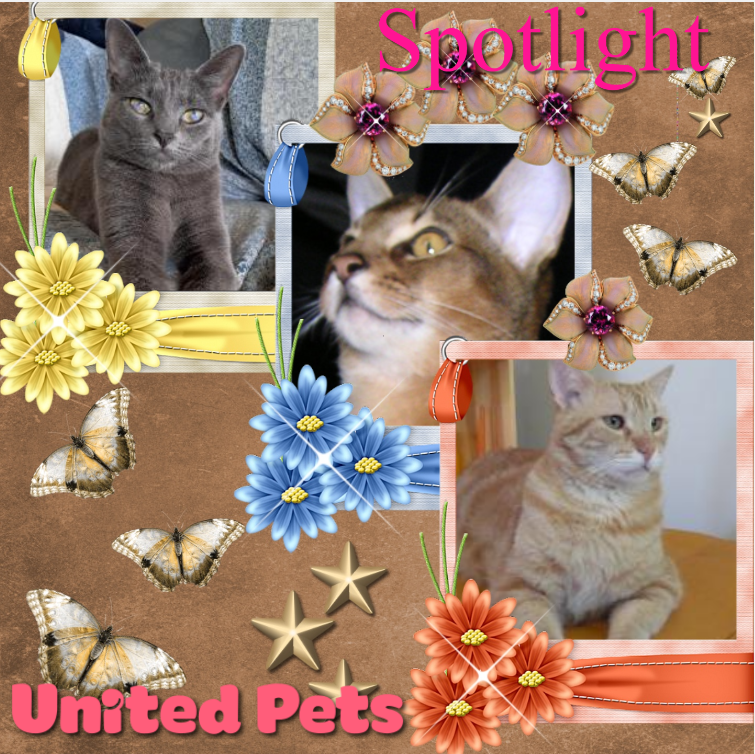 ElianaCT uploaded   3  day/s  ago