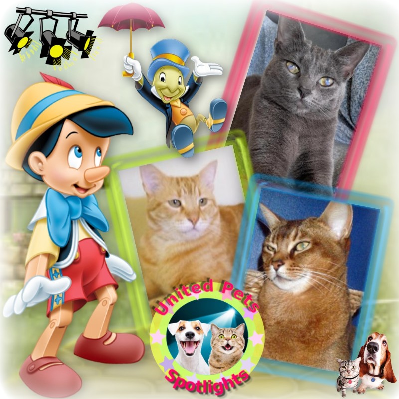 ElianaCT uploaded   1  day/s  ago