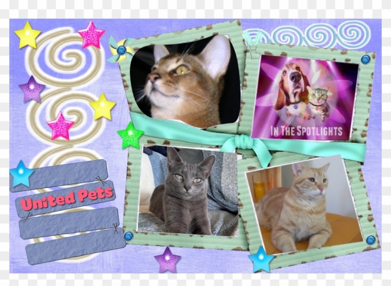 ElianaCT uploaded   1  day/s  ago