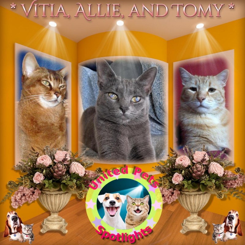 Tomy of the ElianaCT family