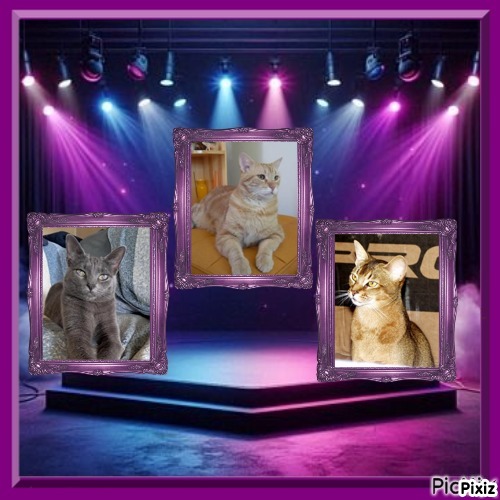 ElianaCT uploaded   5  day/s  ago