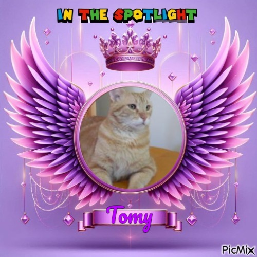 ElianaCT uploaded   4  day/s  ago