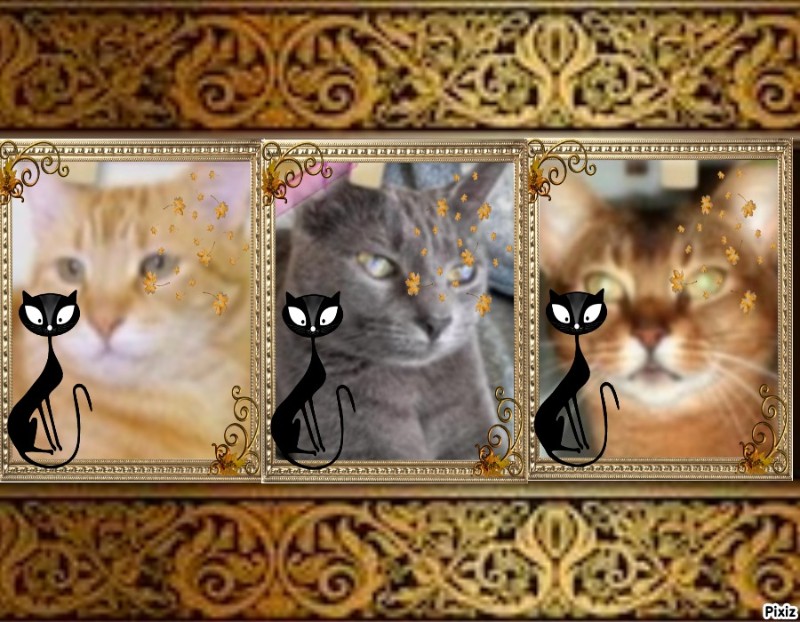 ElianaCT uploaded   1  day/s  ago