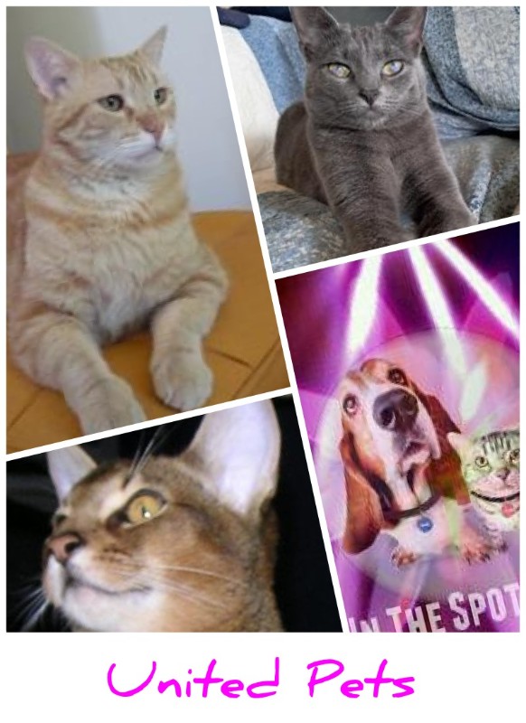 Tomy of the ElianaCT family