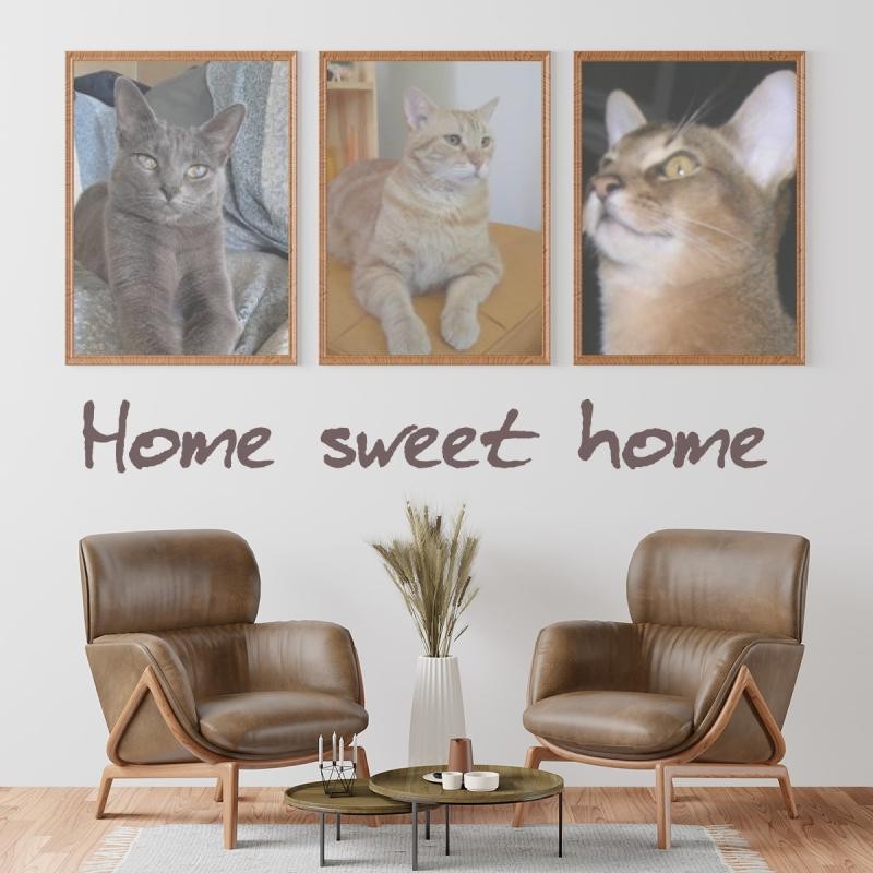 ElianaCT uploaded   4  day/s  ago