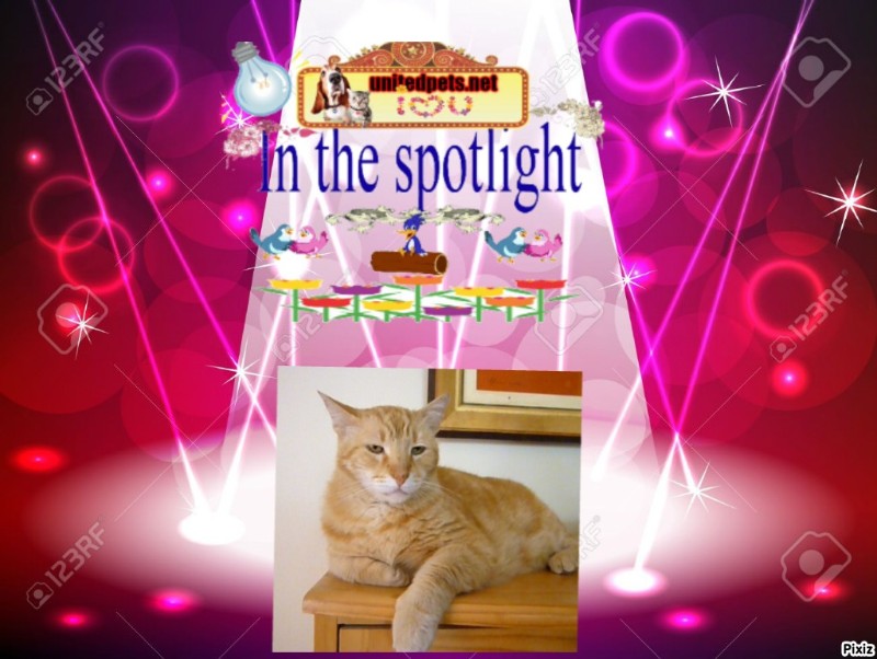 Tomy of the ElianaCT family