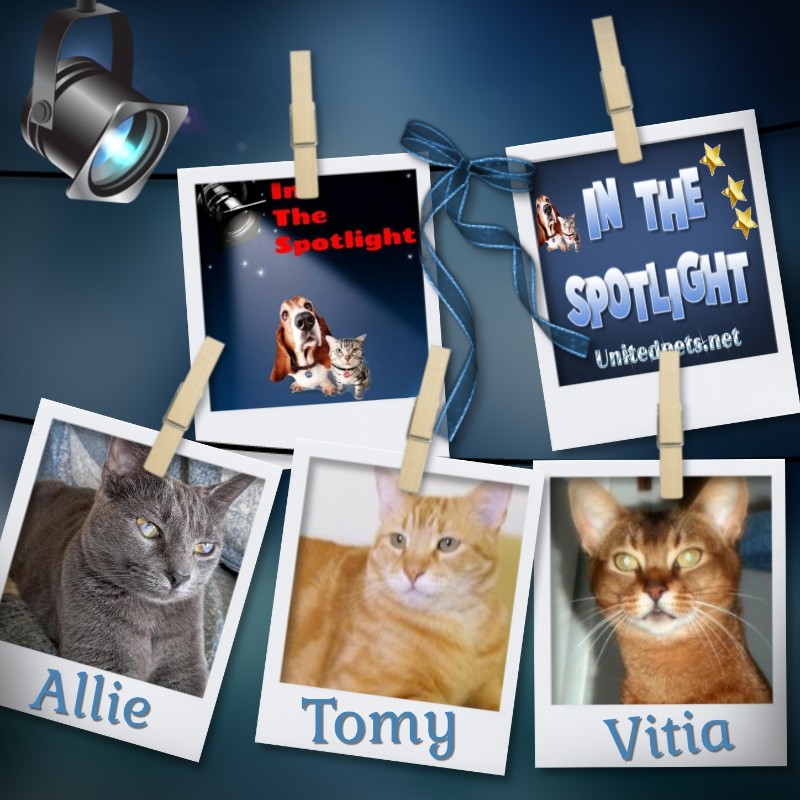 ElianaCT uploaded   4  day/s  ago