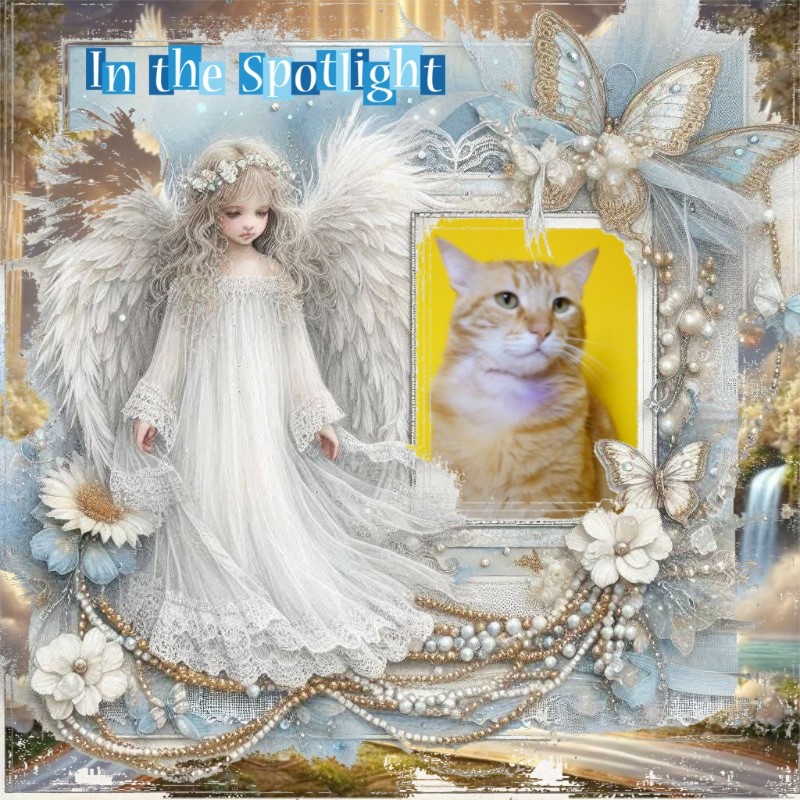 Tomy of the ElianaCT family