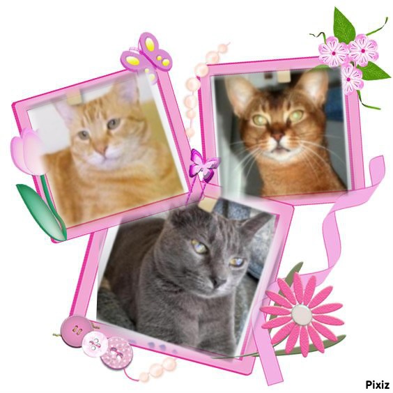 ElianaCT uploaded   3  day/s  ago