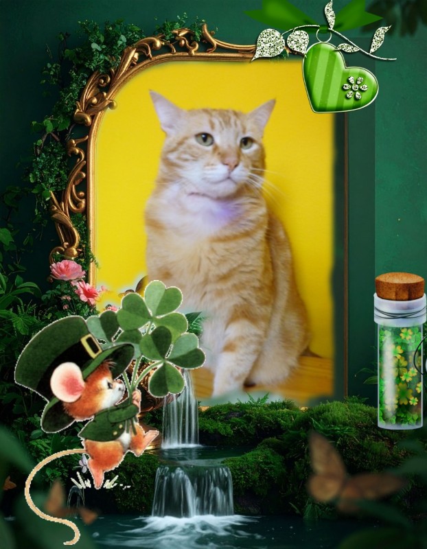 ElianaCT uploaded   45  day/s  ago