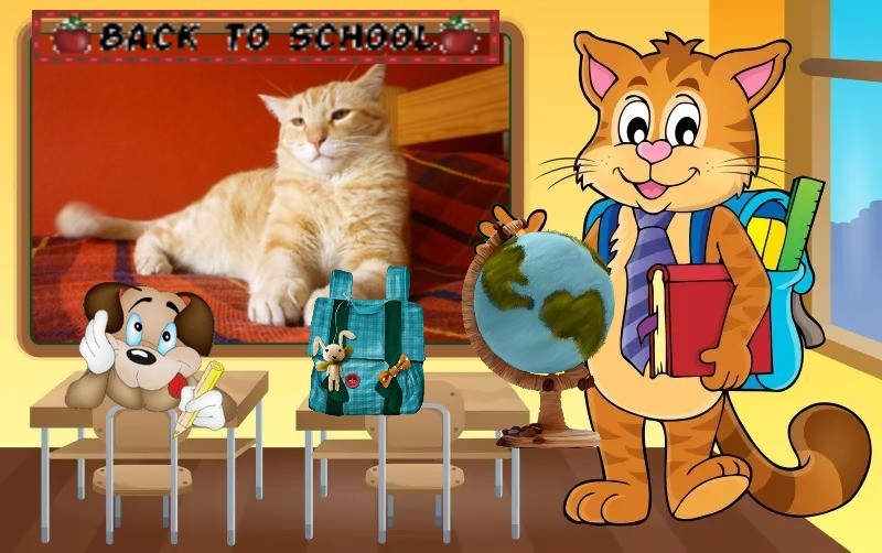 Tomy of the ElianaCT family