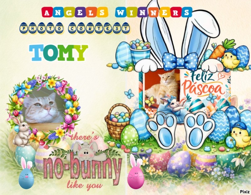 ElianaCT uploaded   1 hour/s ago