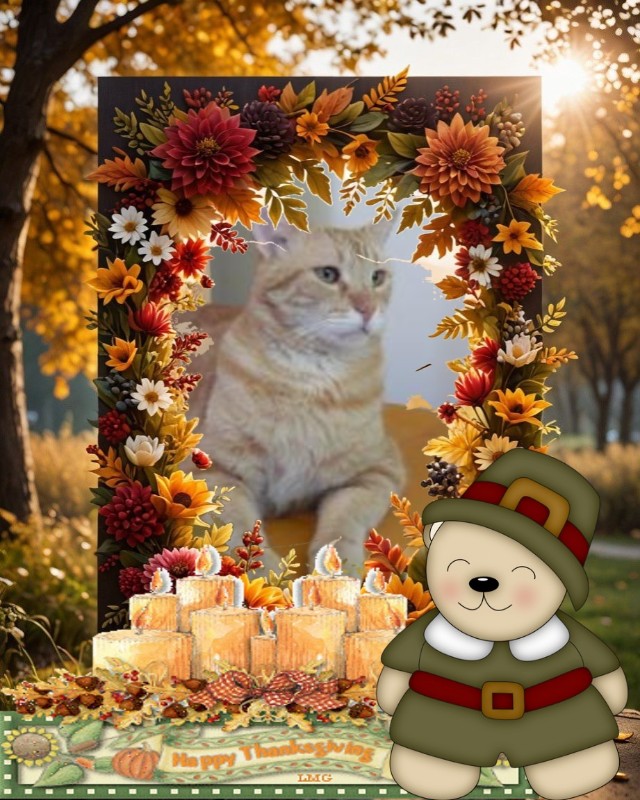 Tomy of the ElianaCT family