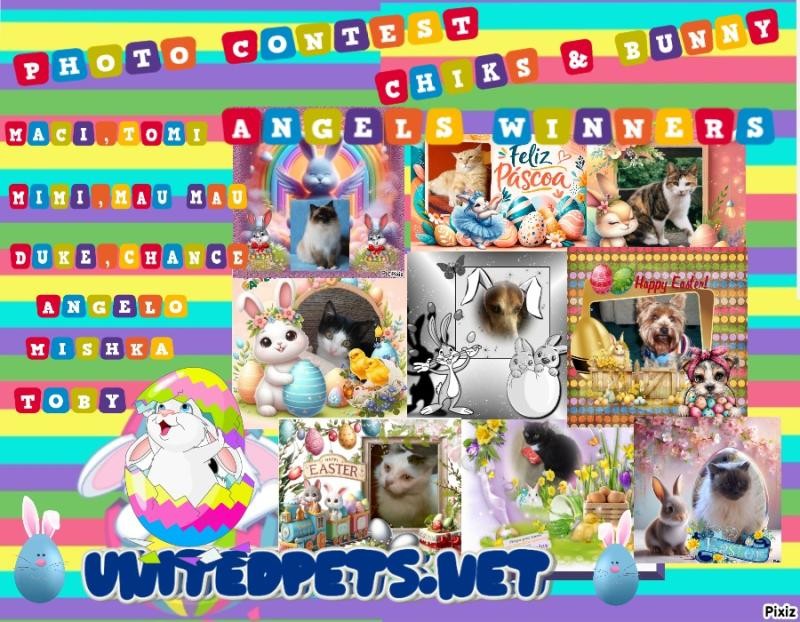 ElianaCT uploaded   1 hour/s ago