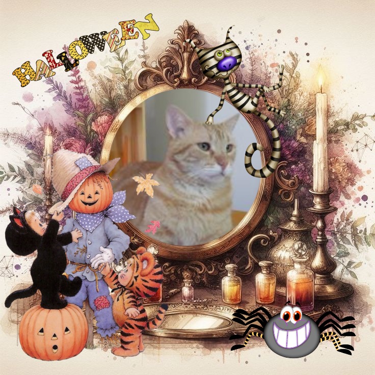 Tomy of the ElianaCT family