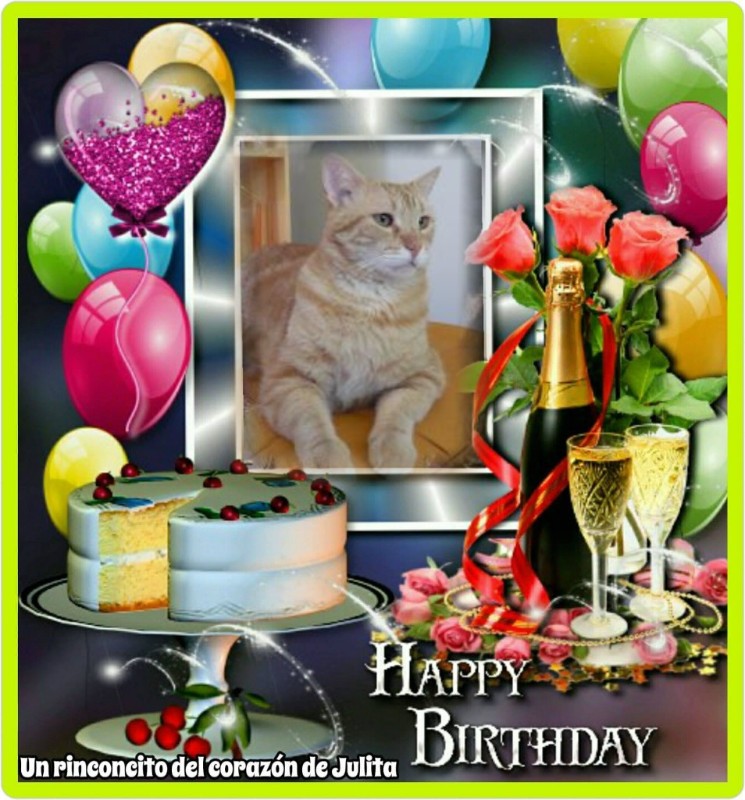 Tomy of the ElianaCT family