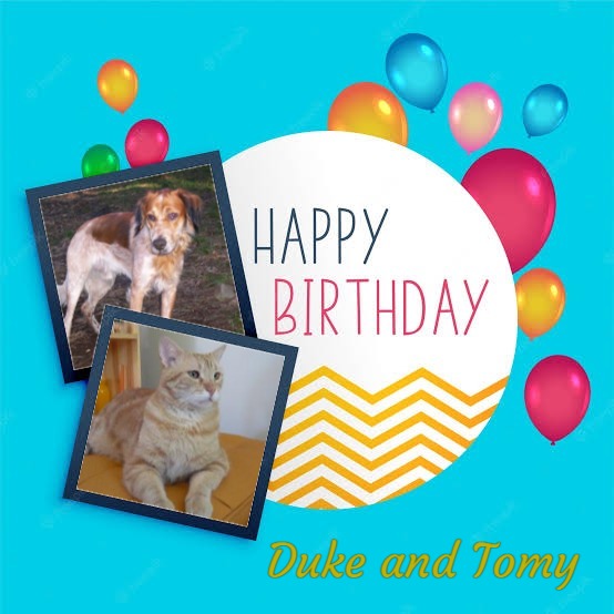 Tomy of the ElianaCT family