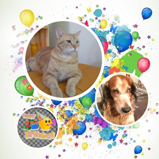 Tomy of the ElianaCT family