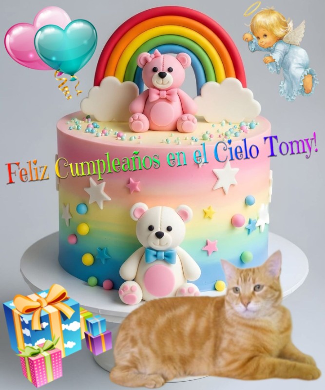 Tomy of the ElianaCT family