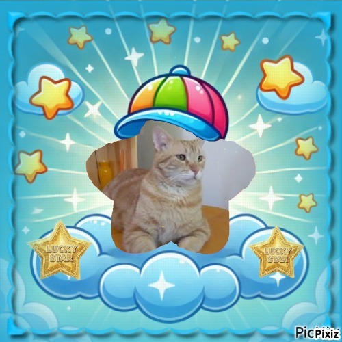 ElianaCT uploaded   41  day/s  ago