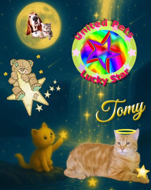 ElianaCT uploaded   36  day/s  ago