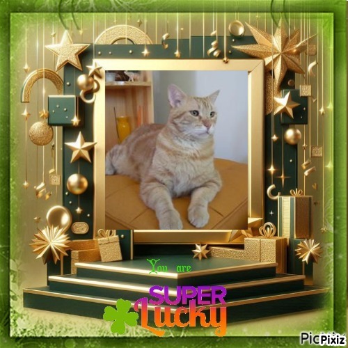 ElianaCT uploaded   41  day/s  ago