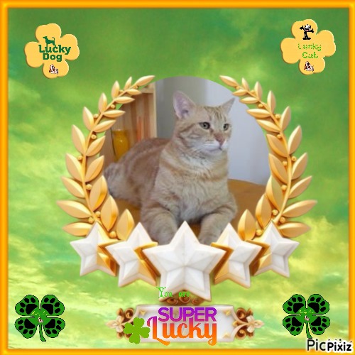 ElianaCT uploaded   41  day/s  ago