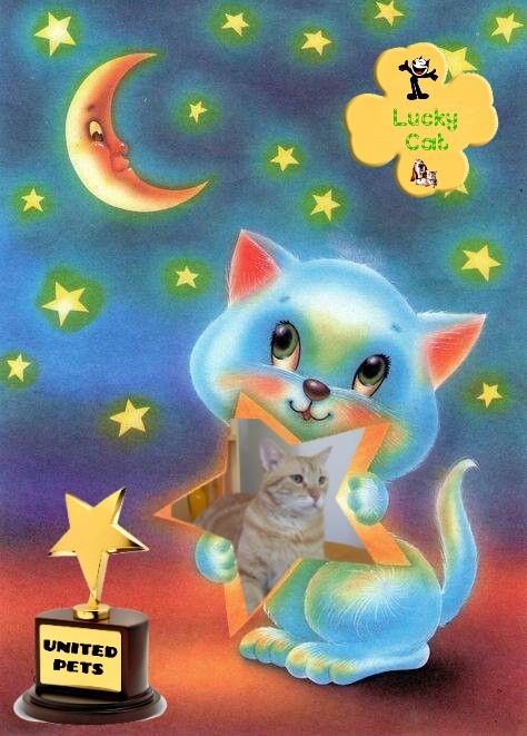 ElianaCT uploaded   36  day/s  ago